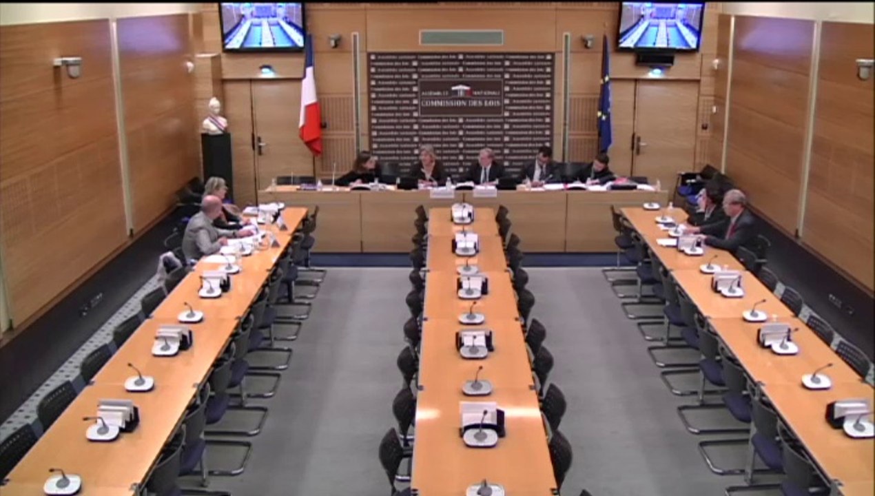 Mme Agnès Carlier, Pdte de la Chambre nationale des commissaires-priseurs judiciaires, et M. François Peron, Pdt de la Compagnie régionale Lyon Sud Est - Mercredi 15 Octobre 2014