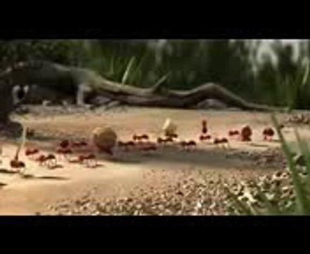 Sincan feroli şervişi 271 29 00