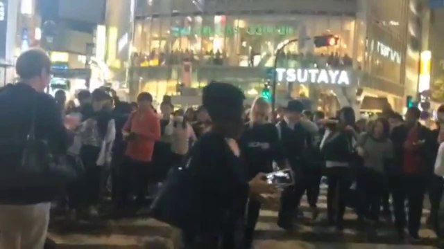 Ours polaire en laisse au Japon