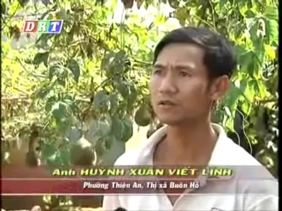 Mô hình trồng nấm - nghenong.com