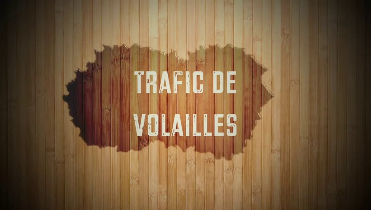 test volailles.webmhd
