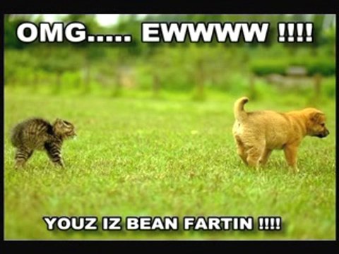 funny and rare animals photos - Video Dailymotion