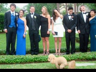 Funny Animals That Are Photobombing Compilation - Video Dailymotion