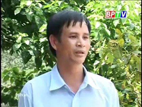 Mô hình trồng xen canh hổn hợp, chăm sóc cây cafe vào giai đoạn cuối - nghenong.com