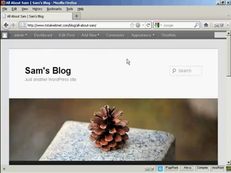 How to Create new Blog Posts in Wordpress Video- - Video Dailymotion