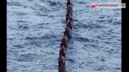 TG 15.10.14 Vendola alla ricerca di approdi alternativi "Credibili e veri" del gasdotto TAP