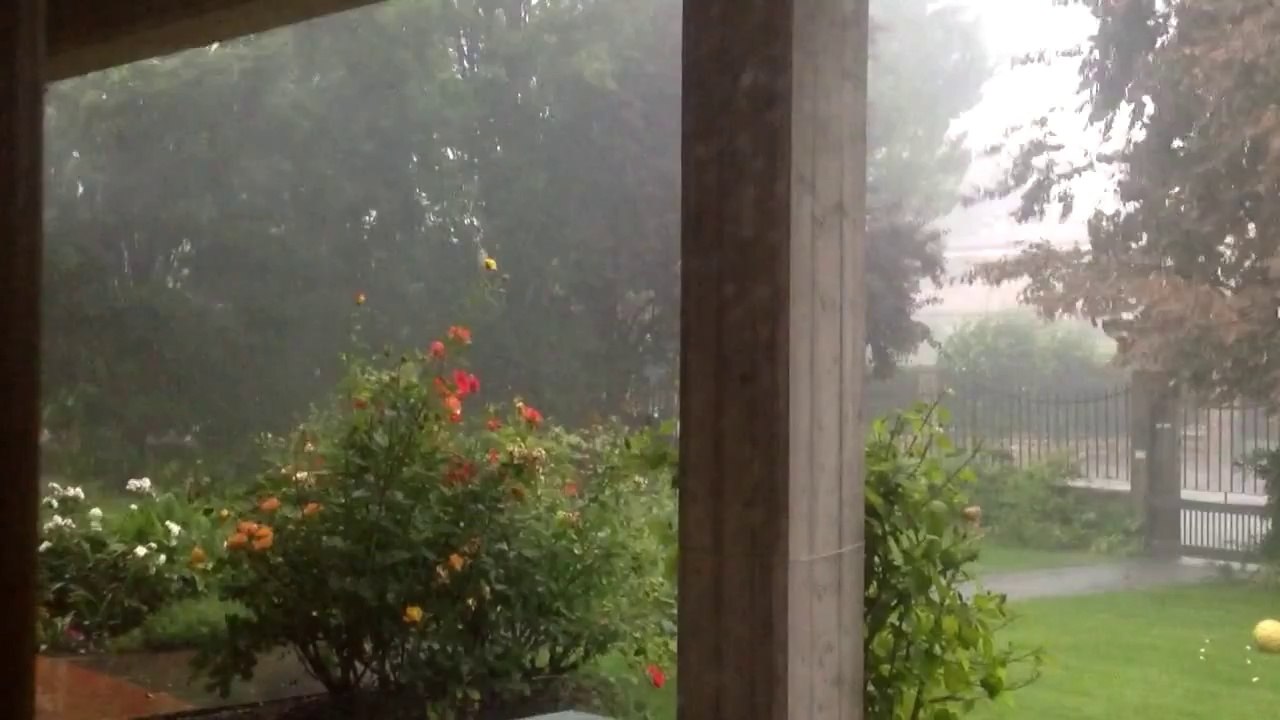 Temporale