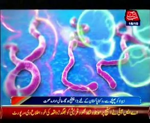 WHO warns Ebola virus could reach Pakistan