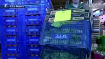 La Russie interdit les légumes frais de l'UE