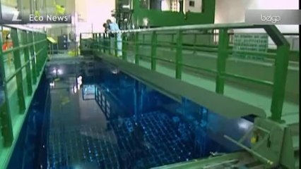 Sortie du nucléaire : les voisins de l'Allemagne s'inquiètent