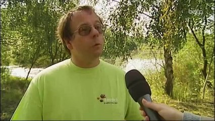 Les Belges appelés à compter les papillons ce week-end