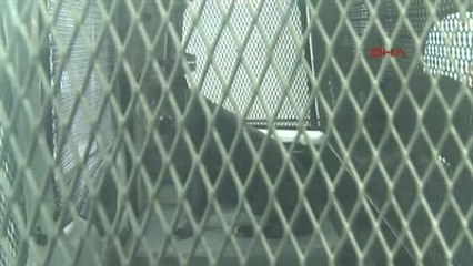 Bursa Polis Aracıyla Pitbull Operasyonu