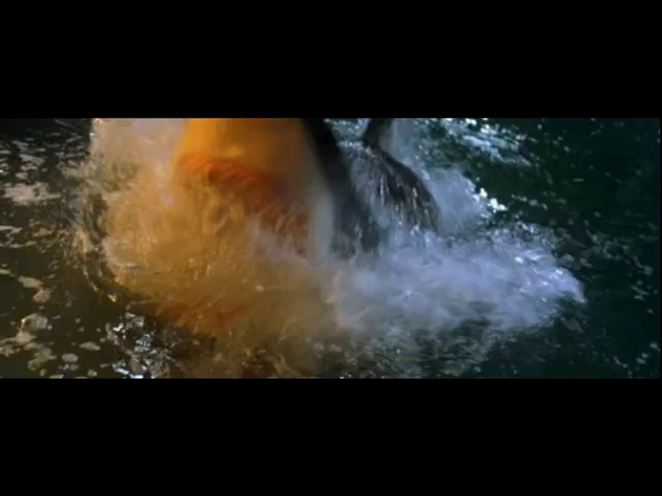 Requin_méchant
