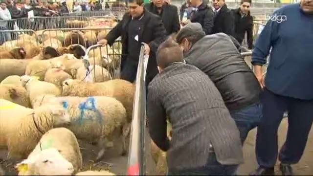 Les musulmans de Belgique ont célébré l'Aïd al Kebir