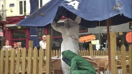 Un essaim d'abeilles égaré à Huy