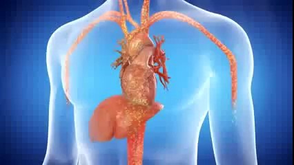 Invisalign Scan Night - Get Straight Talk at Glassman Dental Care