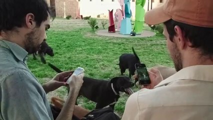 Can We Auto-Correct Humanity_