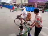 Sahibinin bisikletini bekleyen ve selesinde seyahat eden köpek