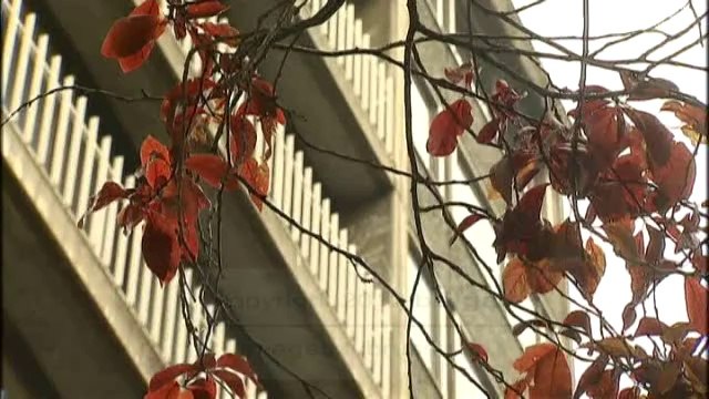 Grève des étudiants FGTB à l'ULB