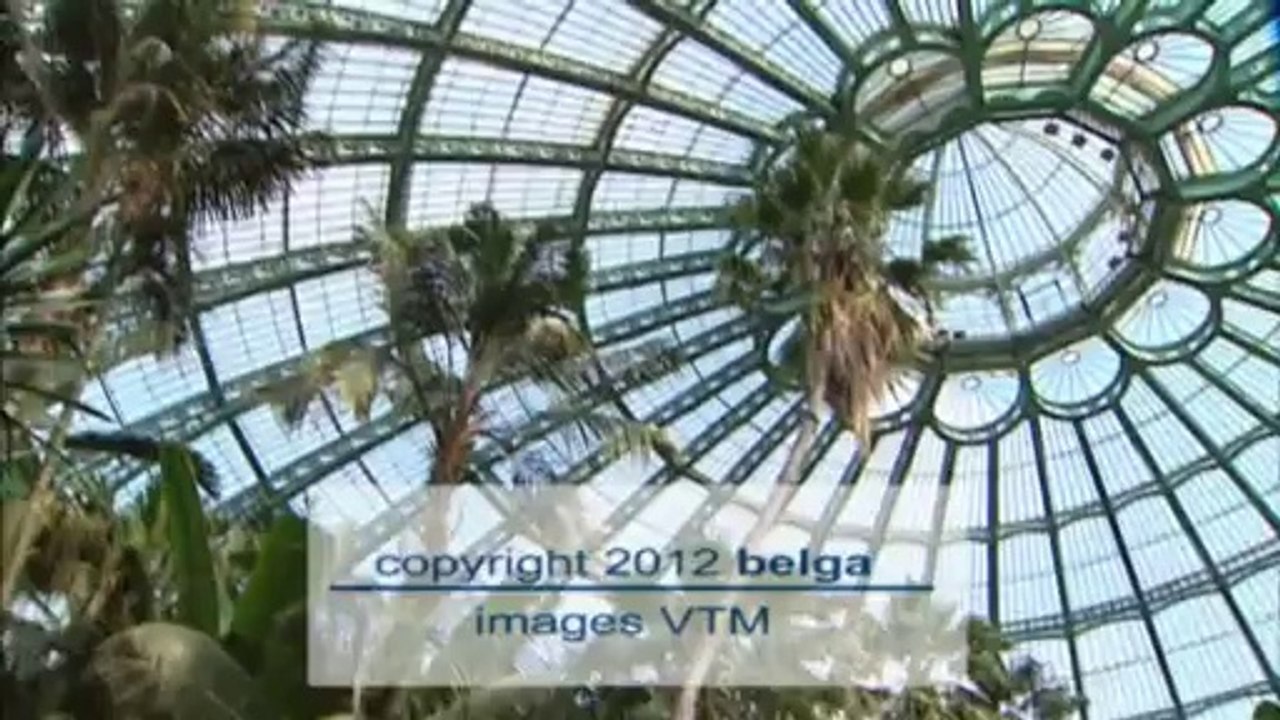 Les Serres royales de Laeken ouvrent leurs portes pour trois semaines