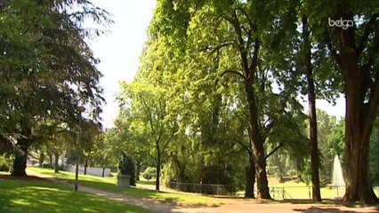 Un homosexuel mortellement roué de coups à Liège