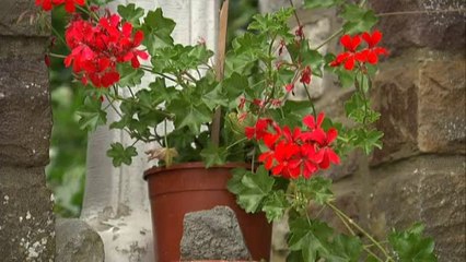 Le "travail au noir" de Michelle Martin va être contrôlé