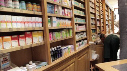 Des plantes pour se préparer à l'hiver