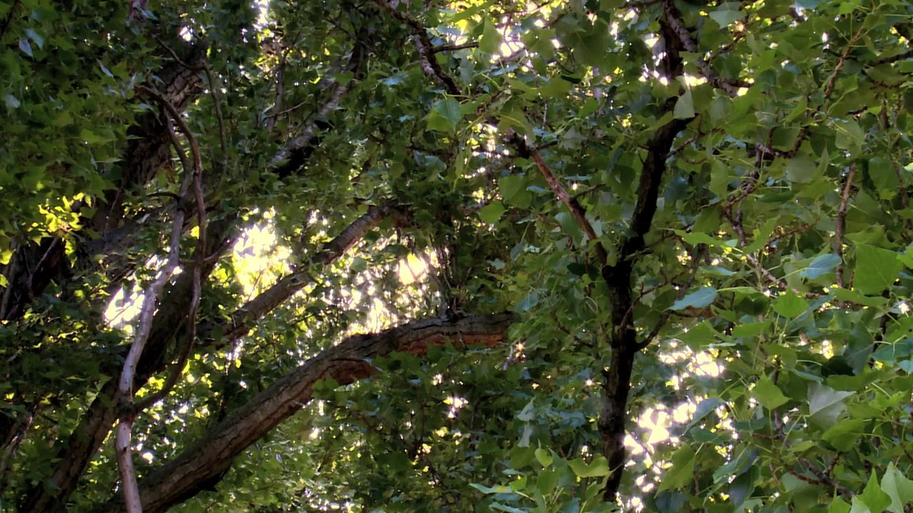 LE MOMENT ET LA MANIÈRE (Bande Annonce officielle) -  SORTIE LE 22 OCTOBRE 2014