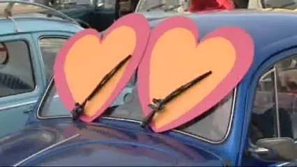 Des coccinelles envahissent Bruxelles