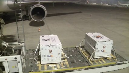 La Chine prête deux pandas géants au Canada