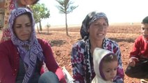 Exode de milliers de Kurdes syriens vers la Turquie