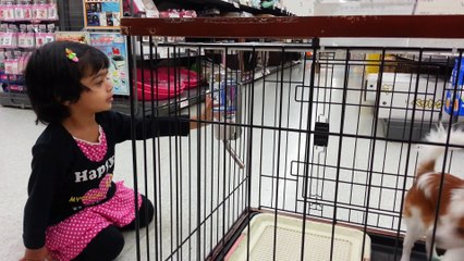 ムスカン　リナ　ちゃん　可愛い　犬と　遊んでますー　パキスタン　インド　スパイス　岩倉ー20141014