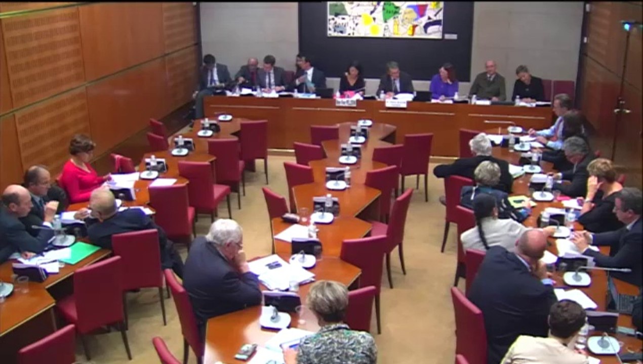 14/10/14 Audition Fleur Pellerin ministre culture