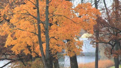 St Petersbourg - Pouchkine