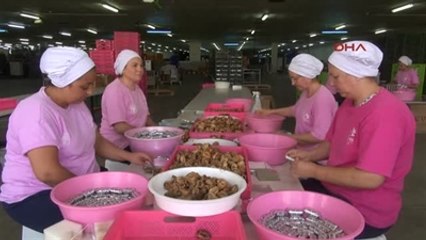 Aydın İncirden 100 Çeşit Ürün Ürettiler