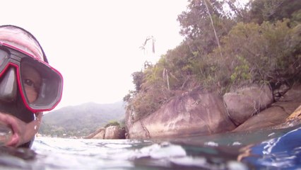 Polvo gigante, Praias, Mares, Apneia, Natureza Marinha, Ubatuba, SP, Brasil, Marcelo Ambrogi, (44)
