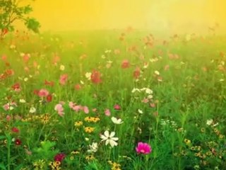 Tourne tourne Marie Laforêt