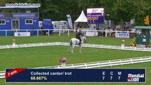 Mondial du Lion - 2014  (REPLAY) Matthieu VANLANDEGHEM (FRA) et Trouble Fete *ENE HN