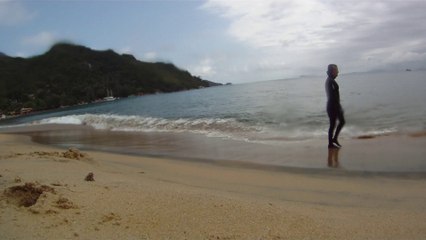 Polvo gigante, Praias, Mares, Apneia, Natureza Marinha, Ubatuba, SP, Brasil, Marcelo Ambrogi, (52)
