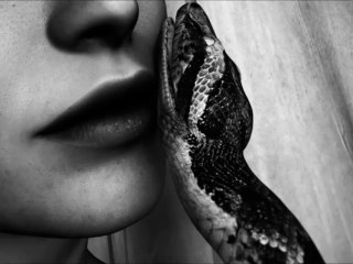 Pour L'exemple - B6/ Le Serpent Du Coeur (Live in "Rockline", Lille, France 13/02/92)