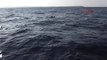 İzmir Sahil Güvenlik Ekipleri, Denizde 105 Kaçağı Kurtardı