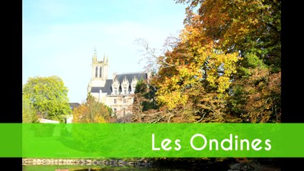 Film de fleurissement de la ville de Changé