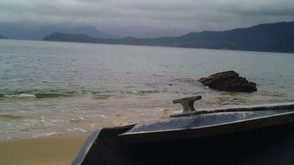 Polvo gigante, Praias, Mares, Apneia, Natureza Marinha, Ubatuba, SP, Brasil, Marcelo Ambrogi, (71)