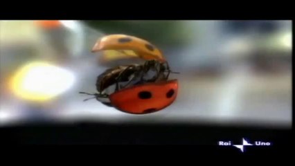 peugoet 207 spot (2007)