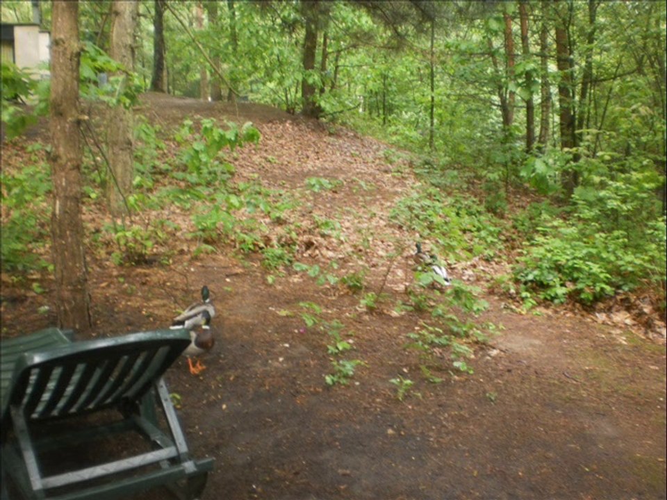 Center Parks 2014 mit dem BEWO