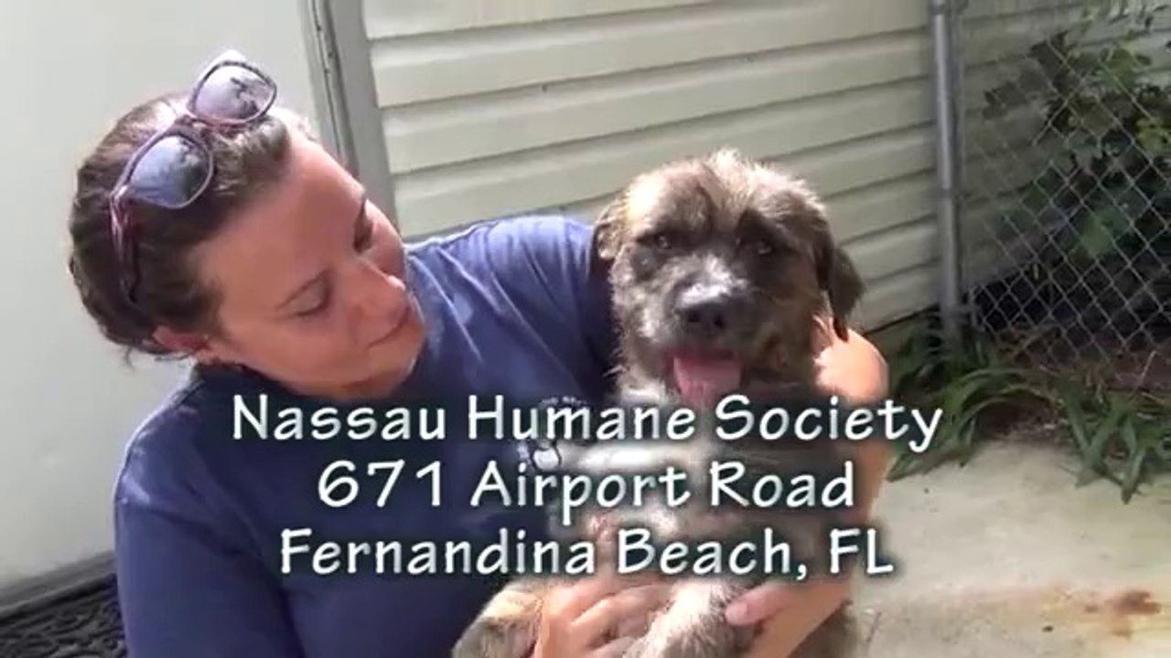 Come meet your sweet Romeo!