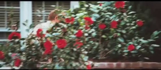 The Lovely Bones - Bande-annonce (VF)