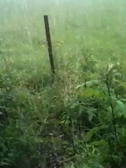 Impressionnants grelons dans le Hainaut !