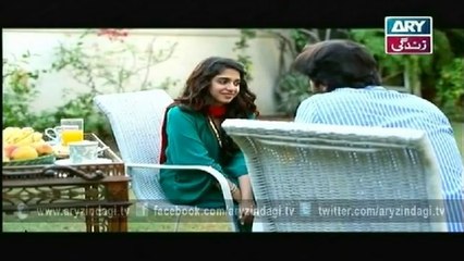 Mere Humrahi, Episode 16, 16th October 2014