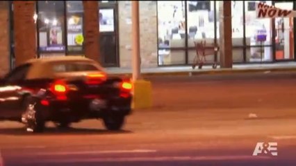 Lawman - Steven Seagal